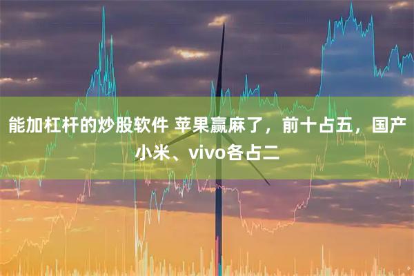 能加杠杆的炒股软件 苹果赢麻了，前十占五，国产小米、vivo各占二