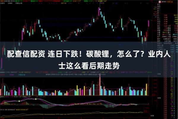 配查信配资 连日下跌！碳酸锂，怎么了？业内人士这么看后期走势